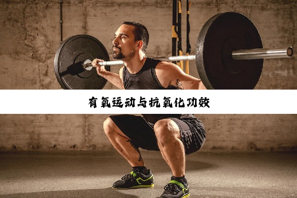 有氧运动与抗氧化功效